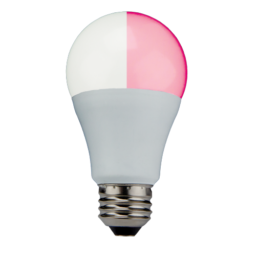 TCP 10W A19 – E26 Base, 2700K, 800 Lumens, Frost