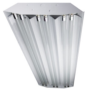 TCP T5 Linear